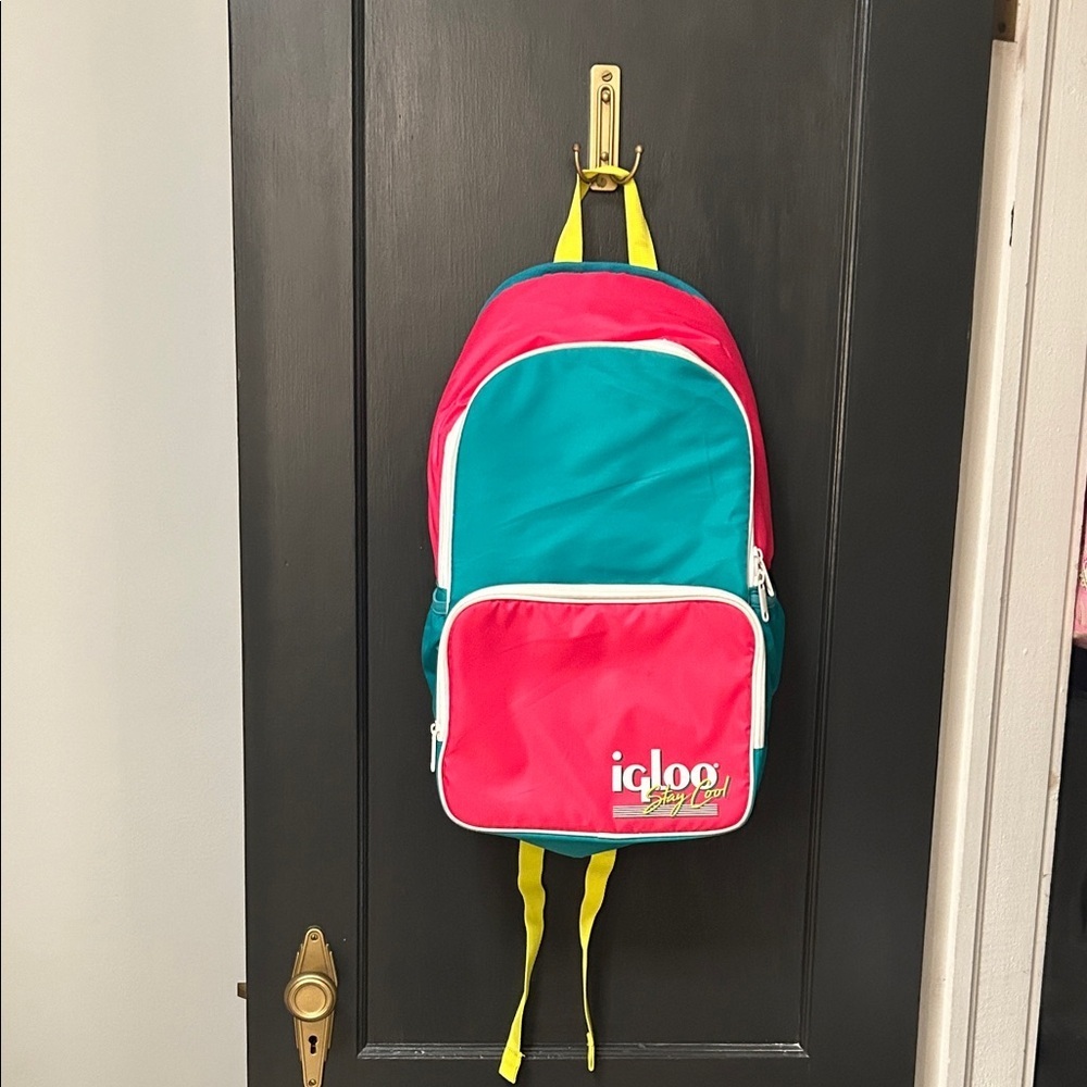 Igloo Kids Backpack - Vibrant Pink and Teal